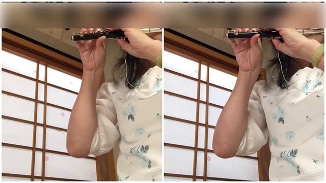 【ピッコロ2重奏】りりかピッコロ2重奏風のとおり道vlog смотреть онлайн