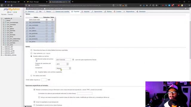 RESPALDAR BASE DE DATOS DE WORDPRESS EN CPANEL Y PHPMYADMIN Exportar e importar base de datos смотреть онлайн