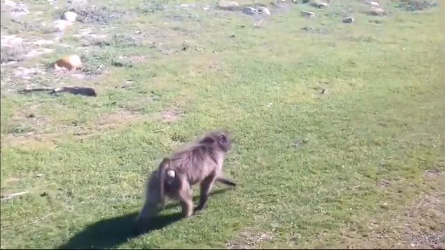 Where two oceans meet. Місце зустрічі двох океанів смотреть онлайн