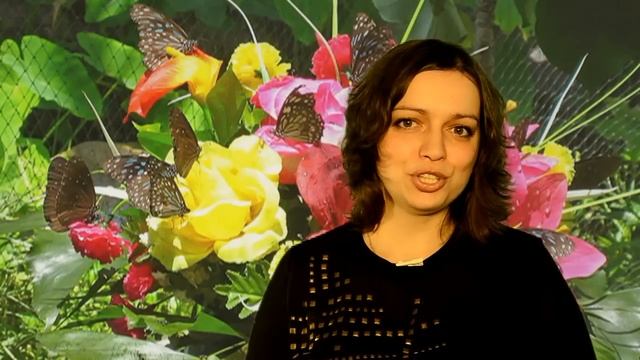 17 ноября. Легкотур. Туры в Египет, Доминикану, Китай смотреть онлайн