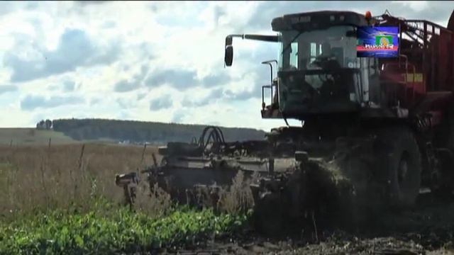 Уборка сахарной свеклы смотреть онлайн