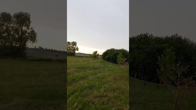 рыбалка и отдых отец и сын смотреть онлайн