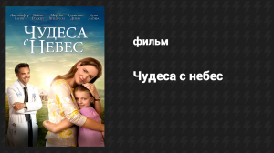 Чудеса с небес (фильм, 2016)