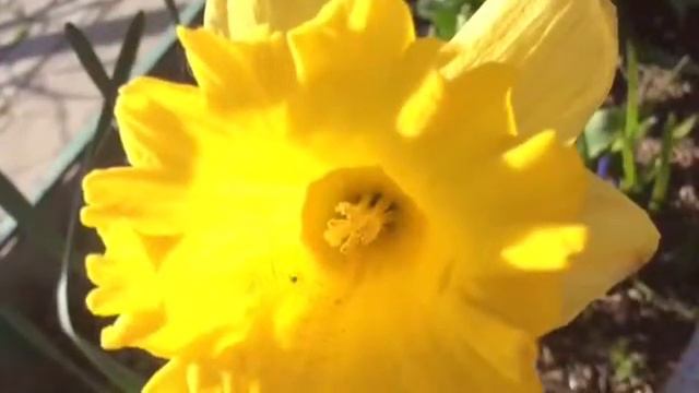 Крымская весна.Керчь.Природа.2016г. смотреть онлайн