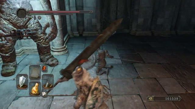 Dark Souls 2 (26)