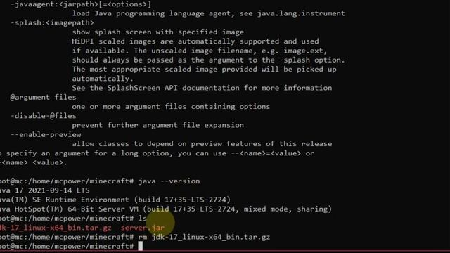 How To Build A "Minecraft Server" (1.17.1) (Java Edition) On Ubuntu Server (20.04) (QUICK INSTALL) смотреть онлайн