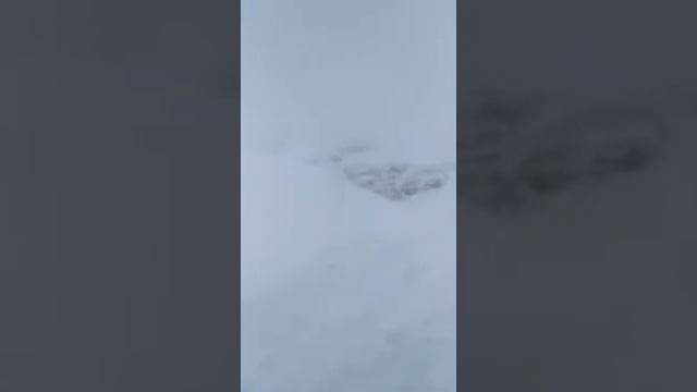 Чёрная пурга! Норильск! смотреть онлайн