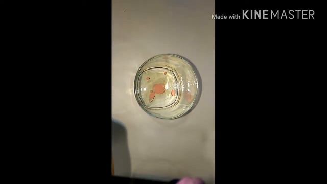 Проверка рецепта лизуна без клея. ДОСМОТРИТЕ ДО КОНЦА ПРЕЖДЕ ЧЕМ НАЧАТЬ ДЕЛАТЬ!!! смотреть онлайн