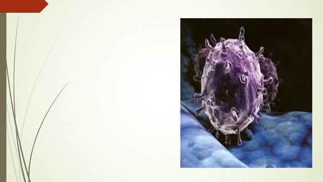 пищевые отравления смотреть онлайн