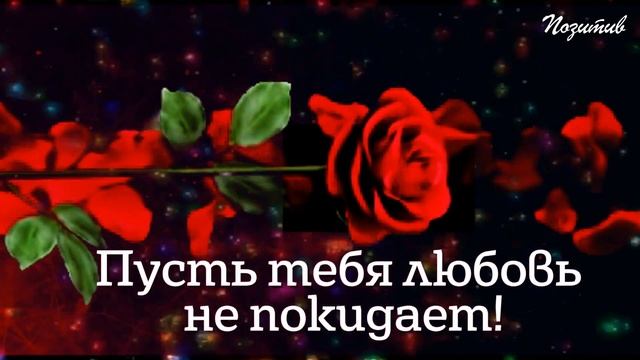 Эти розы я дарю тебе! смотреть онлайн