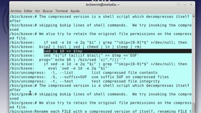 AYS Clase 8.3 - sed, awk, perl/python смотреть онлайн