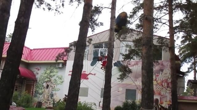 MVI 0326-54 БАБА ЕШЬКА НА ДЕРЕВЕ И МУХА ЦЫКАТУХА смотреть онлайн