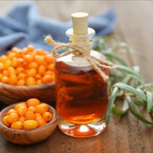 Облепишка, облепиха, что мы знаем о ней ?       #garden  #farm