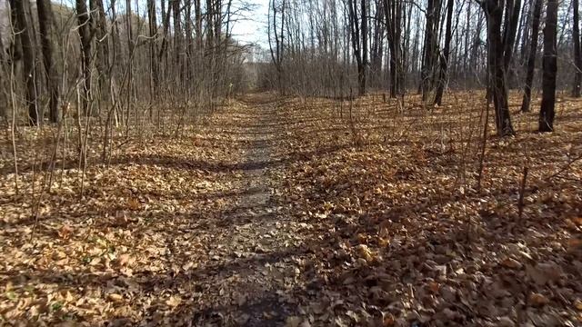 Всё как всегда.