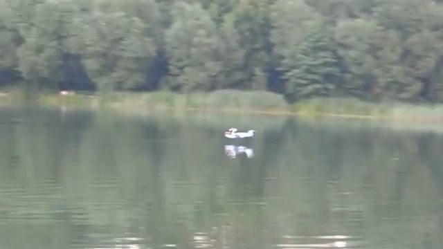 Гидроплан Seamaster 40. взлет и атаки лысого смотреть онлайн