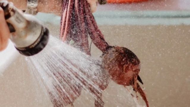 Этим старые врачи ЧИСТЯТ СОСУДЫ ГОЛОВЫ. Одной ложки в месяц хватает для поддержания сосудов чистыми смотреть онлайн