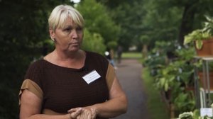 Вариегатные сорта хост, хосты-химеры, сорта со сложноокрашенными листьями