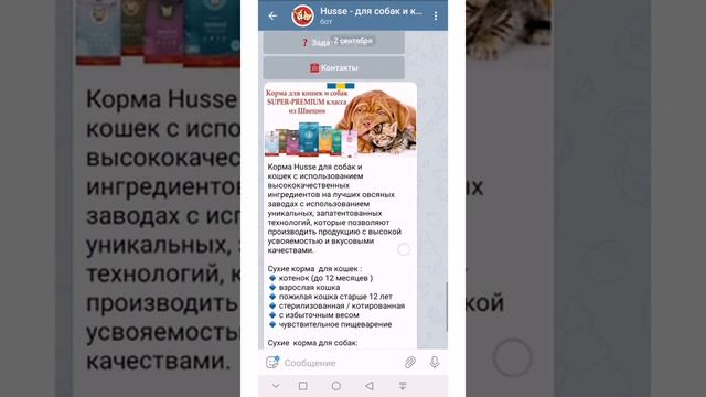 Телеграм бот для оформления заявок смотреть онлайн