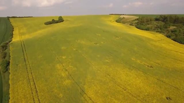Бедржих Сметана - Влтава. Моя Родина (Ma vlast) смотреть онлайн