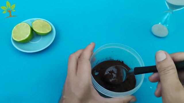 É só bater PÓ DE CAFÉ e LIMÃO e não precisa mais comprar no mercado смотреть онлайн