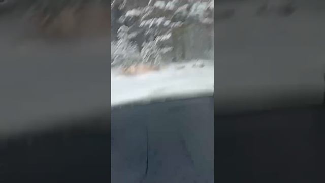 Попытка вторая ✌️ #shorts #car #offroad #toyota #авто