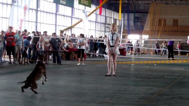 Беретта. Фристайл "Dance with me" смотреть онлайн