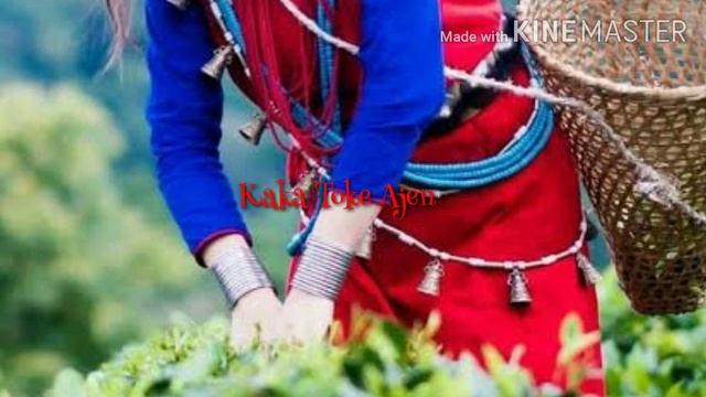ANE GITE | JUMYIR RONYA | GALO SONGS LYRICS | BEAUTIFUL OF ALL TIME | смотреть онлайн