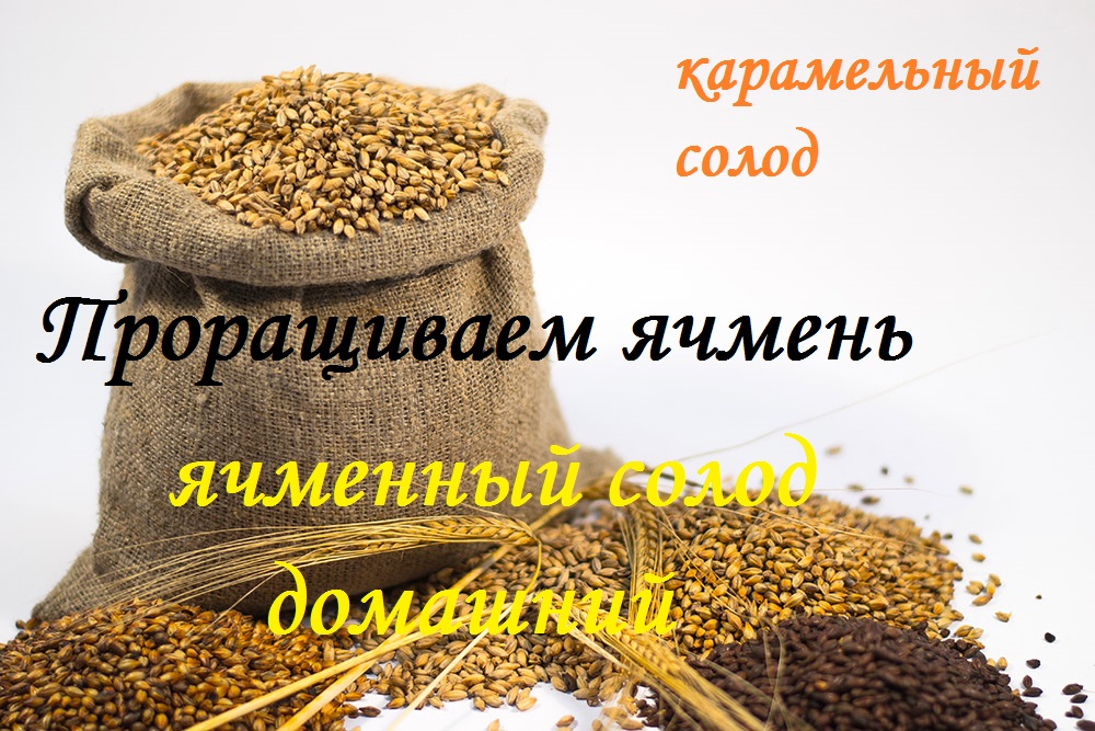 Готовим ячменный солод.mp4