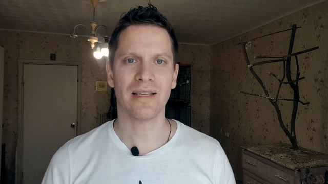 Ответы на ваши вопросы смотреть онлайн