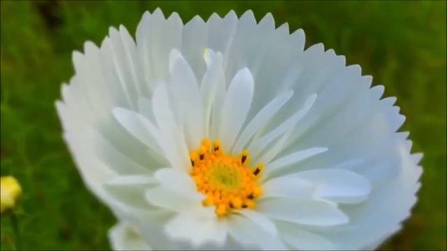 КАК НАУЧИТЬСЯ СОЗДАВАТЬ СВОЁ ТЕЛО? КАК ИЗМЕНИТЬ СВОЁ ТЕЛО? смотреть онлайн