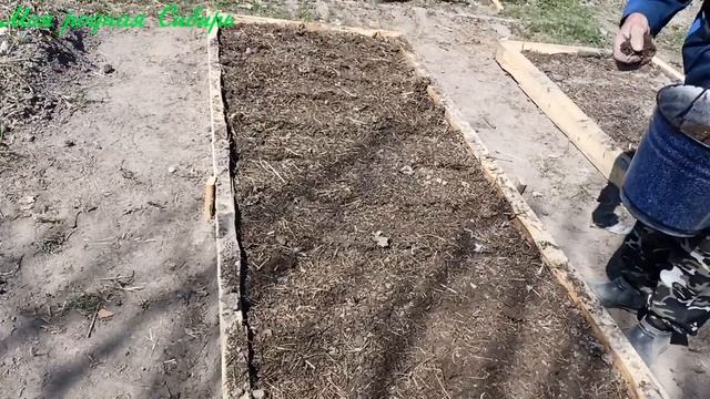 Гуси. Курочка с цыплятами. Кот пришёл на водопой! смотреть онлайн