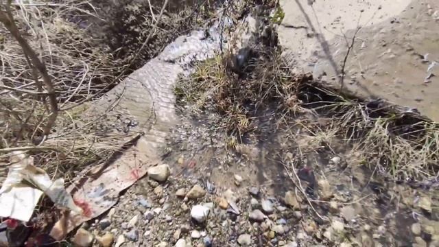 Половодье на Сухоне 2021 смотреть онлайн