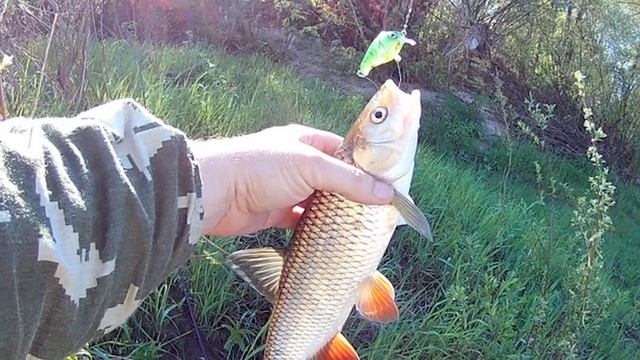 Одинарные Крючки для воблеров на Голавля.Owner,Gamakatsu,Decoy,VMC. Выбираем подходящие. смотреть онлайн
