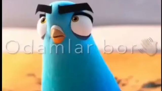 ?Qora Videolar ? // ?кора видеолар?