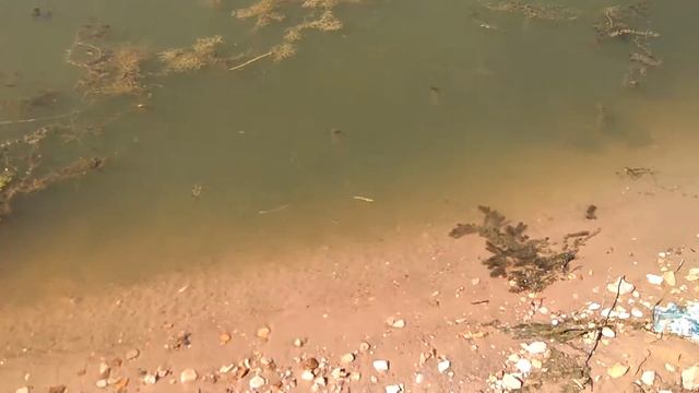 Озеро Павленское. Серпухов. Август 2016. смотреть онлайн