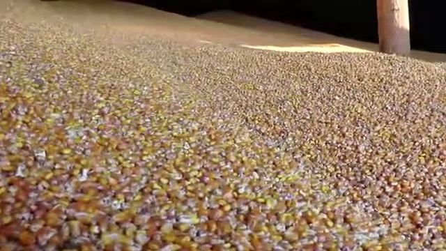 Комбикорм Майский смотреть онлайн