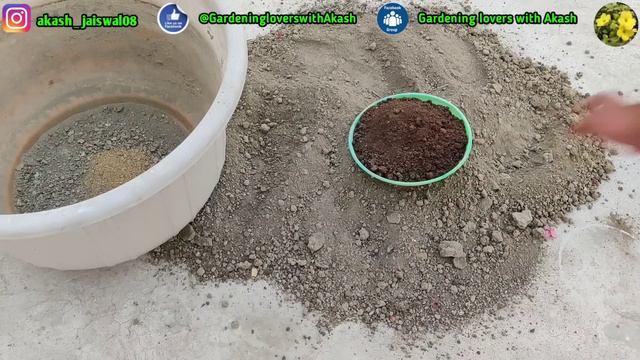 सिर्फ 20 दिन में कमल को छत पर उगाने का जबरदस्त तरीका || How to grow Lotus Plant on Terrace #lotus смотреть онлайн