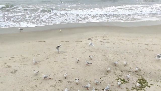 Одесса. Третья декада октября 2022. Приглашаю погулять по Набережной и услышать море #Ukraine смотреть онлайн