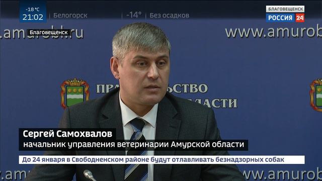 Для чего нужны ужесточенные требования к амурским производителям мяса? смотреть онлайн