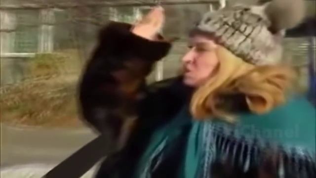 ЛУЧШИЕ ПРИКОЛЫ #241 смотреть онлайн