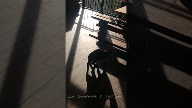 Каракет Нора - мастер-класс по прыжкам в высоту для начинающих. смотреть онлайн