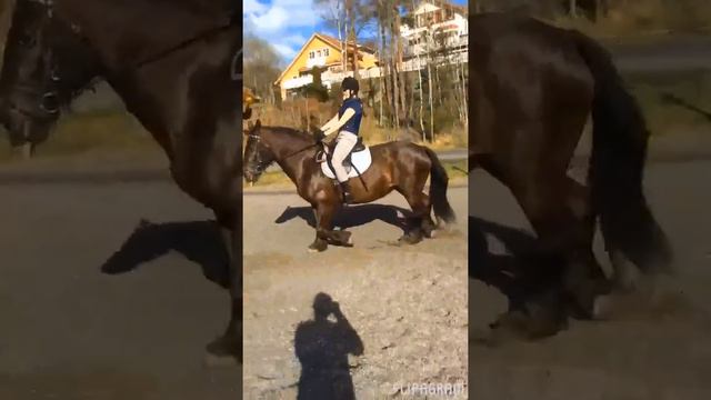 Du var kjempe flink på treninga i dag maya er stolt av deg смотреть онлайн