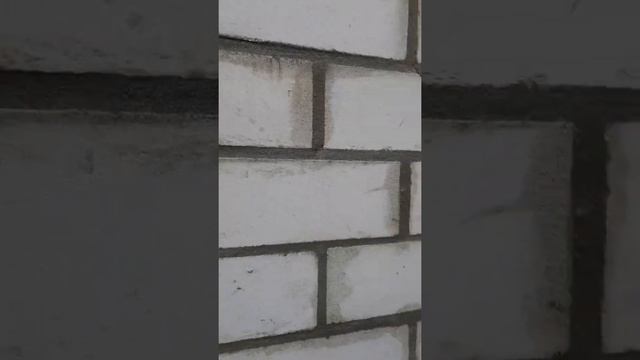 400 км от Воронежа, Рыльский район, село Новоивановка, ездил один! 3 часа работы, 12 часов езды!