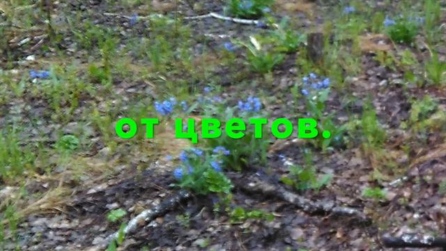 Весна (А. Шамиссо)/Spring (A. Chamisso)/Frühling (A. Chamisso)/Pavasaris (A. Chamisso) смотреть онлайн