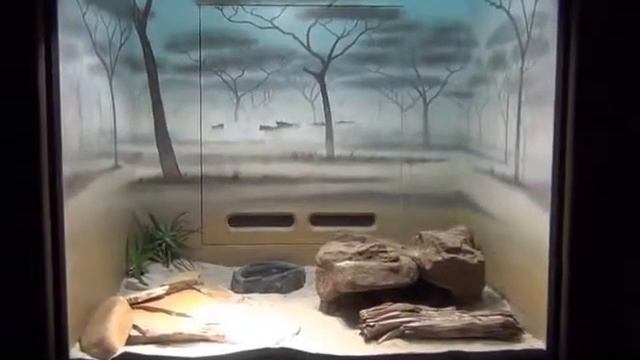 Америка Змеи, жабы, ящерицы, питон, кобра Snakes, lizards, frogs Zoo смотреть онлайн
