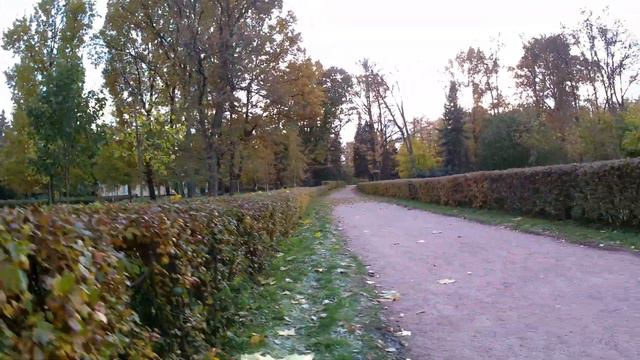 Осень в петербурге смотреть онлайн