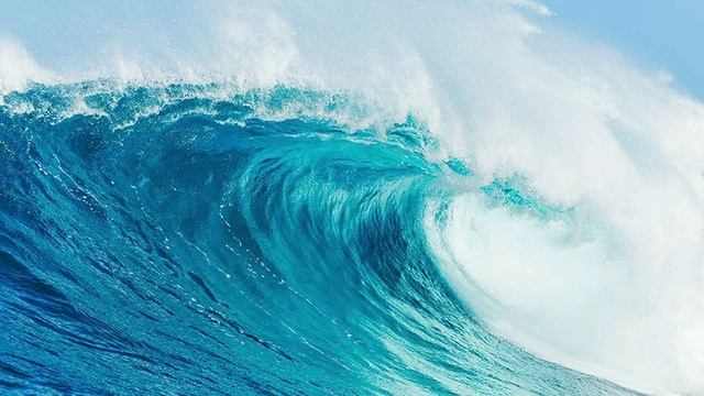 Владимир Ток - Она полюбила другого. Читает Владислав Витковский смотреть онлайн