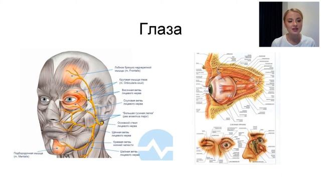 Гладкий лоб смотреть онлайн
