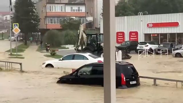 и снова Адлер. смотреть онлайн