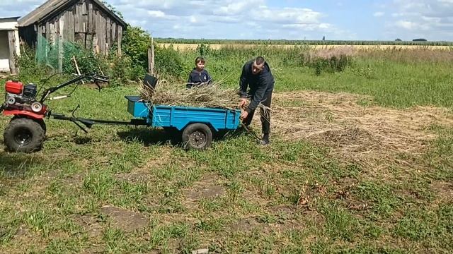 СЮРПРИЗ ОТ СЛОВА ПАЦАНА? смотреть онлайн